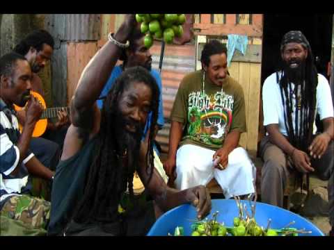 Fya Bryte  "The nature Island music video"