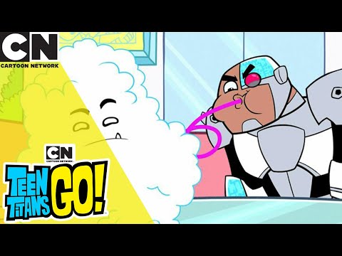 Where Is Silkie?! | Teen Titans Go! | Cartoon Network UK