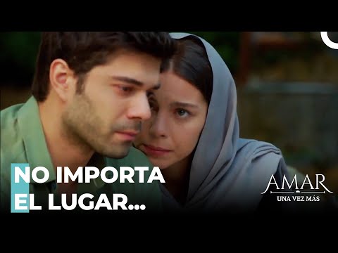 Búsqueda De Chismes De Fikriye - Amar Una Vez Más