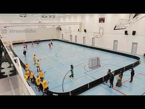 P11 kilpasarja 13.00 Welhot Wings - Apassit musta