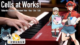 Hataraku Saibou Opening (Cells at Works!) Piano Cover|SLSMusic
