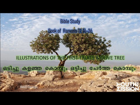 23. Bible Study on Romans 11:16-36 | Israel's restoration | Basil George | Youth For Mission