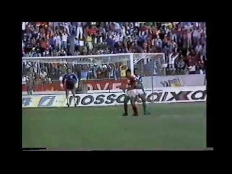 Guarani 1 a 5 Flamengo  Brasileiro 23/10/88   Sérgio Araújo  Alcindo  Aldair Zinho 2x .