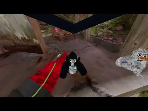 Toxic players found in gorilla tag! They where cyber bullying me