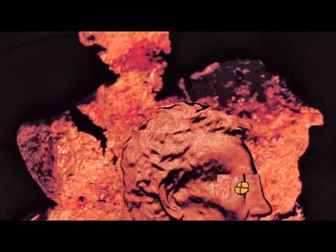 Jae X Cohen - Fridgewater