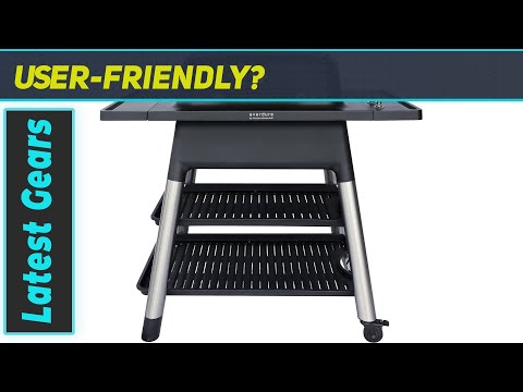 reviewEverdure FORCE 2-Burner Gas Grill Review - Fast Ignition, Portable, and Delicious Grilling!