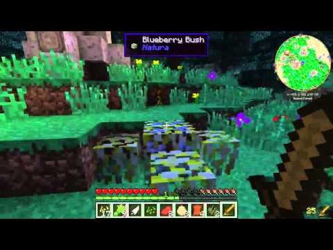 Space Race!!! DAY 1 [Flux Galaxy] Minecraft 1.7.10