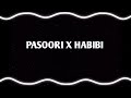 PASOORI X HABIBI AUDIO EDIT