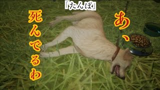 大切な愛犬と散歩をし楽しい日々を過ごすんだ！…んな甘いゲームじゃねぇんだ…しっかりホラーなんだ「たんぼ」をプレイした