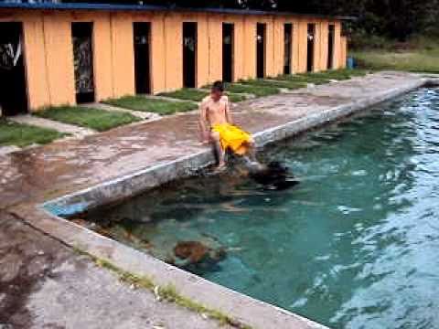 El Wero En El Carcamo