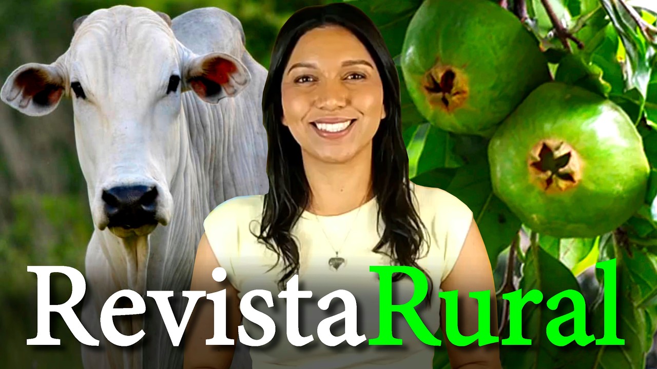 PROGRAMA REVISTA RURAL - 11/10/2026