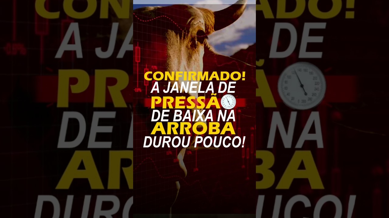 CONFIRMADO! A JANELA DE PRESSÃO DE BAIXA NA ARROBA DUROU POUCO!