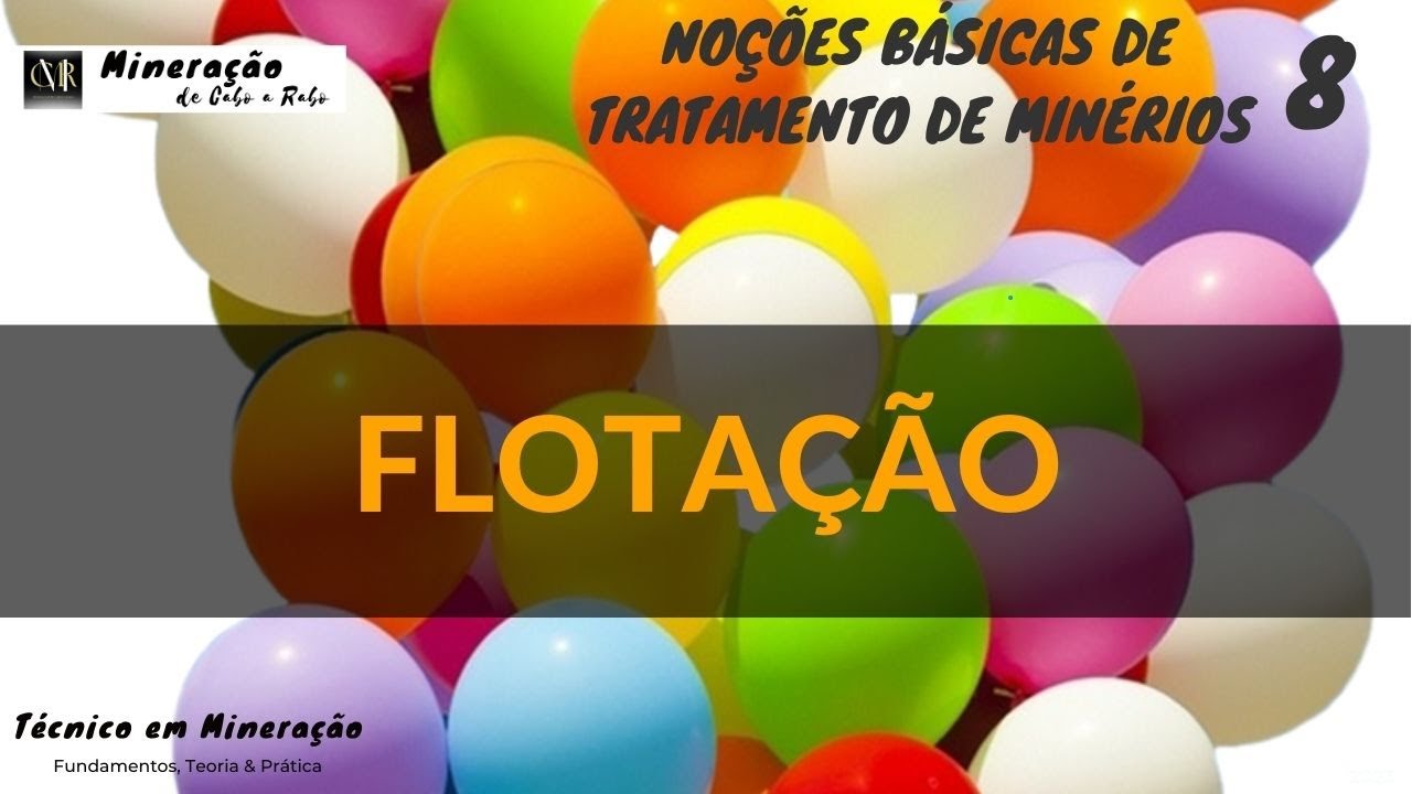 "FLOTAÇÃO : Desvendando os Segredos do Processo na Indústria Mineral"