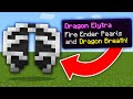 Minecraft, But There Are Custom Elytra...