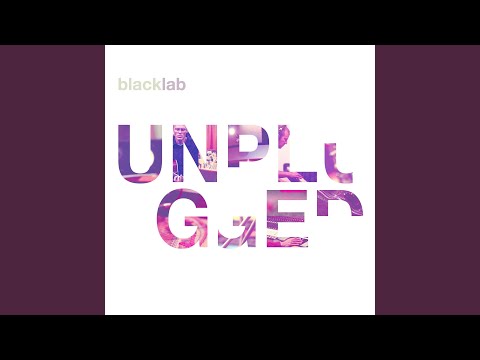 Circus Lights (acoustic) - Black Lab