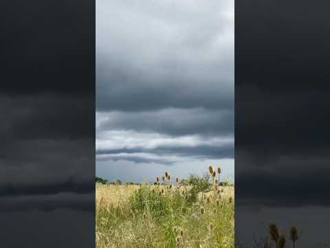 Domingo 28/12/25 🌩️ una aislada en San José, Entre Ríos #tormenta #storm #weather #rain #stormy