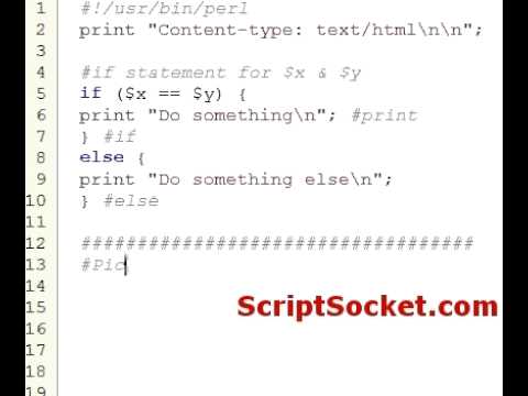 Perl Tutorial 23 - Commenting Your Code