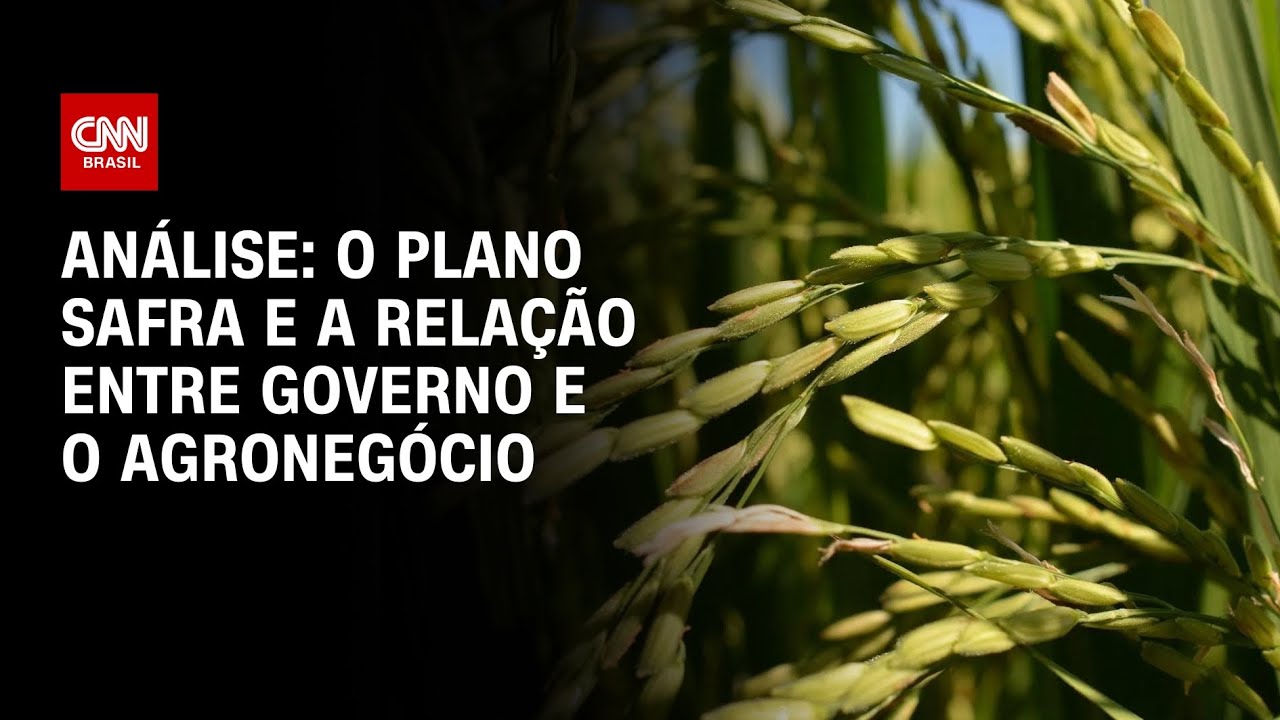 Análise: o Plano Safra e a relação entre governo e o agronegócio | WW