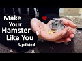 How To Tame Your Hamster And Make Them Like You UPDATED