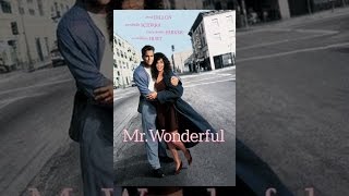 Mr. Wonderful
