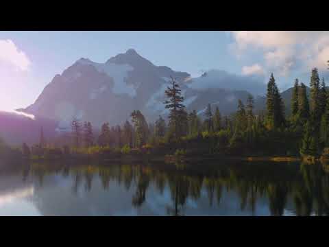8 Hours of Birds Singing on the Lakeshore and Water Sounds   Relaxing Nature Sounds   Mount Shuksan