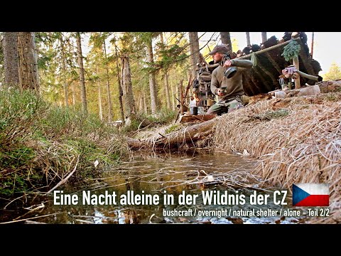 Eine Nacht alleine in der Wildnis der CZ - bushcraft / overnight / natural shelter / alone  "Doku"