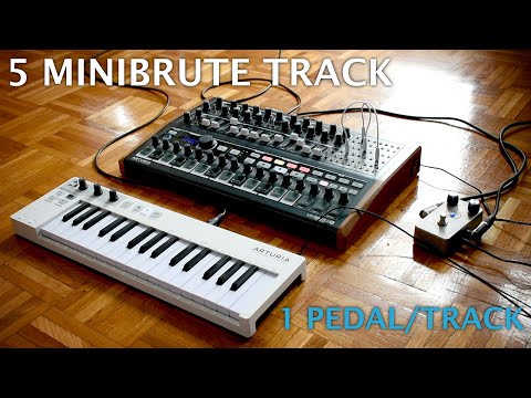 Minibrute 2S - 5 tracks - 1 pedal/track -  still kinda all sounds come from the Miniburte