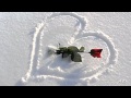 BERNWARD KOCH - Ice Flowers(relaxing music ...