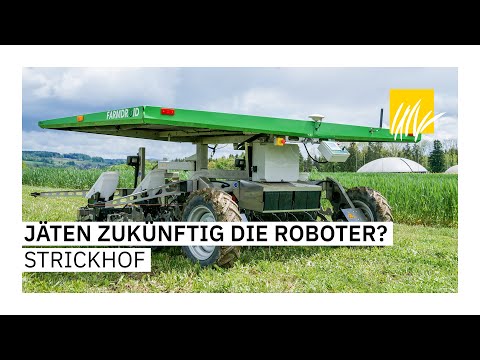 Herbizidverzicht im Ackerbau - Was sind mögliche Alternativen?