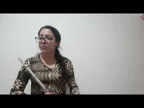 57 vivifica nos Senhor ,harpa cristã cover flute