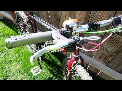 Schwinn Paramount series 50 PDG mountain bike