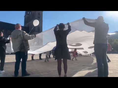 Freedom Parade🕊 supports die Basis🎈 in Magdeburg vom 29.05.2021 - Teil 2/2😆