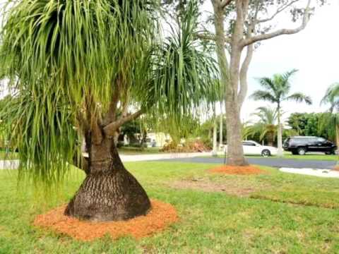 30221 SW 172 CT,Homestead,FL 33030 House For Sale