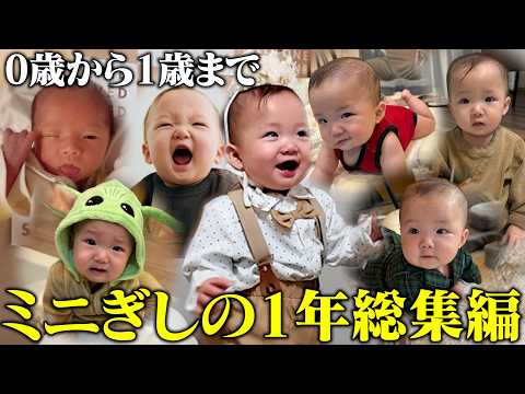 【忙しい人向け】産まれてから1歳になるまでのミニぎしを総集編にしたら成長感じすぎてヤバい！