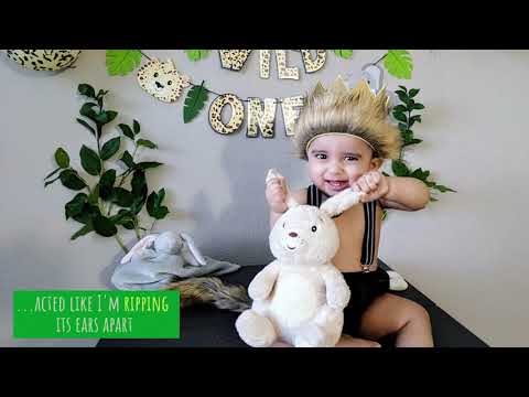 The Wild One Cake Smash - 2021