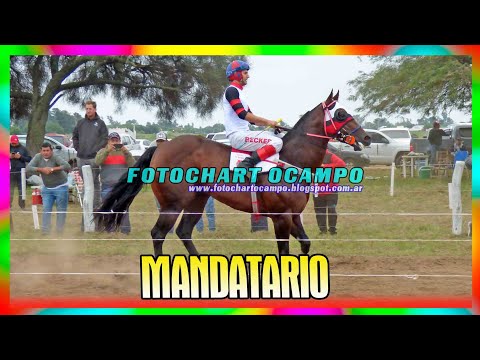 MANDATARIO - General Pinedo - Chaco 07/04/2024