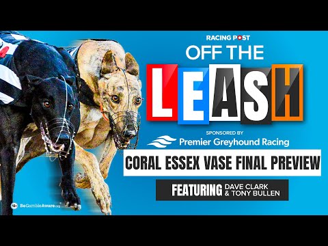 Coral Essex Vase Final Preview | Off The Leash | Greyhound Racing Tips