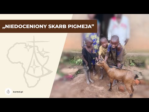 Koza dla Pigmeja - karmelitański projekt w Burundi