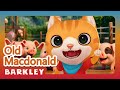Old Macdonald Had A Farm Summer Joy Barkley Nursery Rhymes Kids Songs