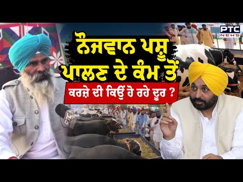 Goat Farming : ਪੰਜਾਬ 'ਚ ਕਿਉਂ ਖਤਮ ਹੋ ਰਹੇ ਪਸ਼ੂ ਮੇਲੇ ? ਬੱਕਰੀ ਪਾਲਕ ਨੇ ਮਾਨ ਸਰਕਾਰ ਦੇ ਖੋਲ੍ਹੇ ਰਾਜ