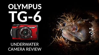 Olympus TG-6 Red (V104210RE000) - відео 2