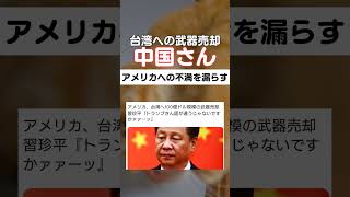みんなはどう思う?🤔#中国#政治#トランプ
