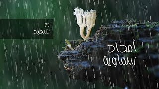 #أمداد_سماوية - (2) شهيد image