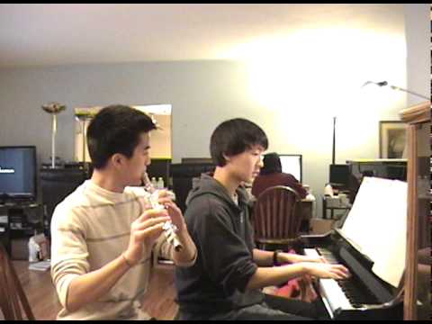 Apologize- OneRepublic ft. Timbaland (Flute and Piano cover)