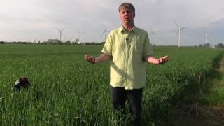 SKYFISH Wind Energy Kite for Producing Electricity in Emerging Market