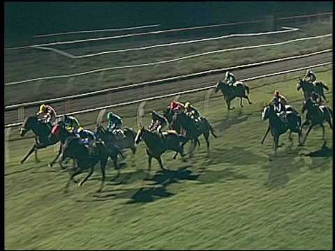 Galoppo 14/01/2017 - 5ª corsa