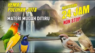 Download lagu #4 LIVE MASTERAN AMPUH MUDAH DITIRU ANTI STRESS UNTUK BURUNG MURAI BATU‼️ mp3 Download lagu #4 LIVE MASTERAN AMPUH MUDAH DITIRU ANTI STRESS UNTUK BURUNG MURAI BATU‼️ mp3