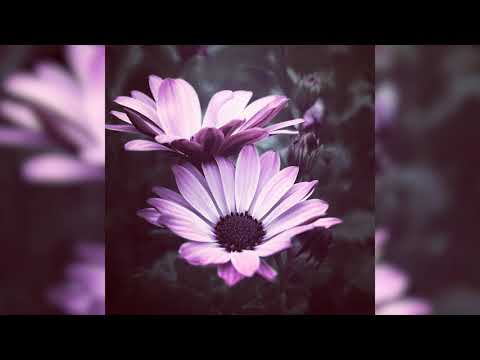 Trudy Goodman – BHNN Guest Podcast – Ep. 18 – Pillars of Practice