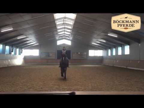 Füchtels Floriscount OLD