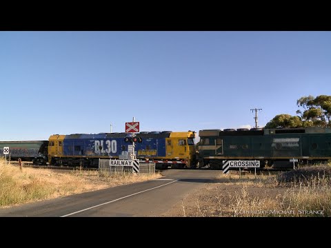 7732V Pacific National Grain Train At Railway Crossing (3/2/2022) - PoathTV Australian Railways